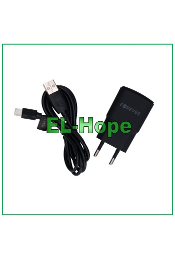 UNIVERSAL-REISEAKKU-LADEGERÄT FÜR NOKIA 5V 10W + TYPE-C USB-KABEL 1,2 m SCHWARZ